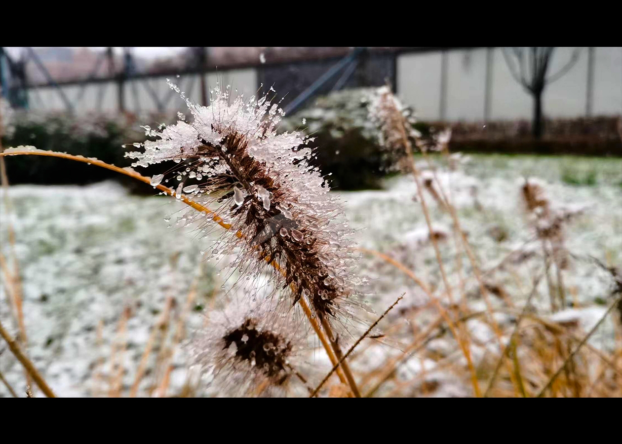 冰雪